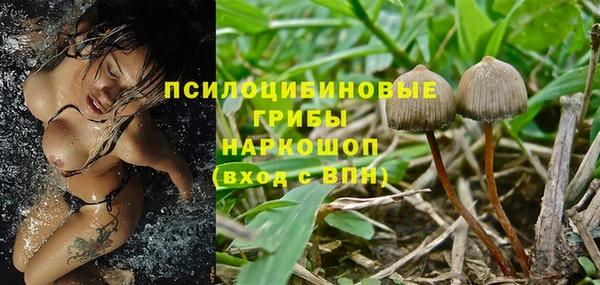 метамфетамин Ельня