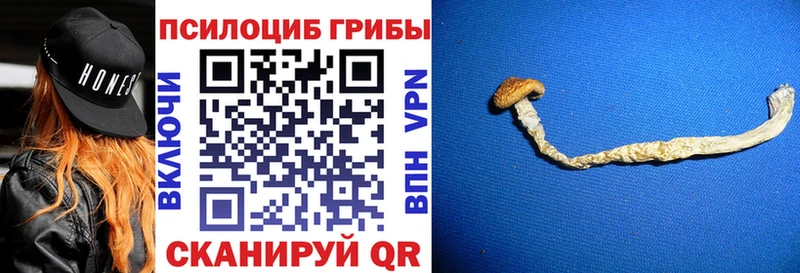 Галлюциногенные грибы MAGIC MUSHROOMS  Купить  Колпашево 